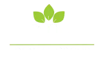 Prime Dental Group